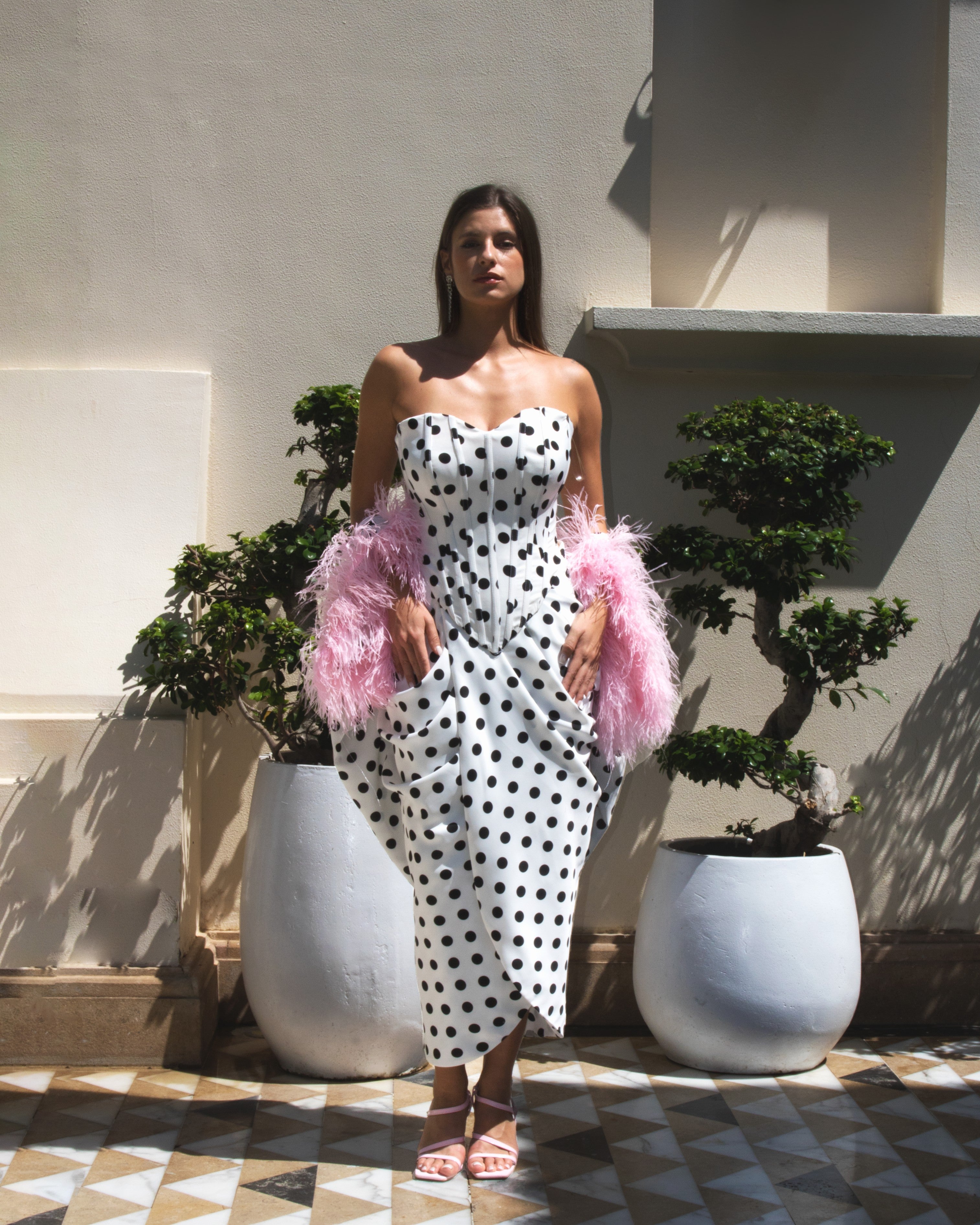 Spotlight Plume: The Statement